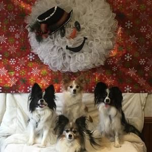 Meet your Posher, Brenda